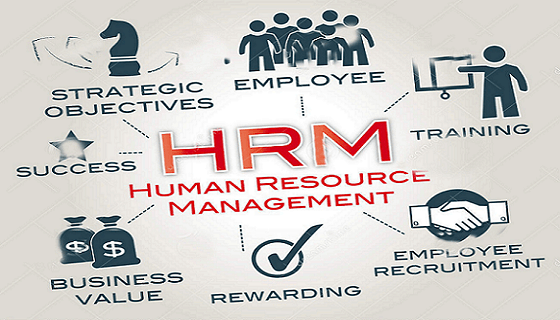 Tips Memilah Software HRM